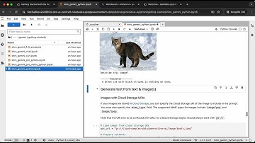 Getting Started with the Vertex AI Gemini API and Python SDK | GSP1209