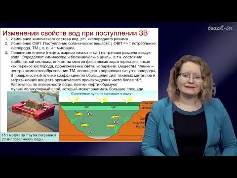 Тимофеева Е.А. - Химическое загрязнение биосферы - 14. Органические ЗВ в ОС