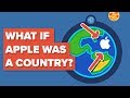 What If Apple Was a Country?