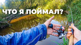 ПОЙМАЛ на форелевой РЕЧКЕ!? Ловля ручьевой форели. Рыбалка в Ленинградской области.