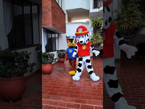 PaW PAtroL ReSCuE Song Show And Animation SKIBIDI  #shortvideo #shorts #pawpatrol #youtubeshorts
