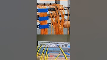 Wi-Fi server room #shortvideo #smartphone #internetaccess #wifi #facts #internetrouter #automobile