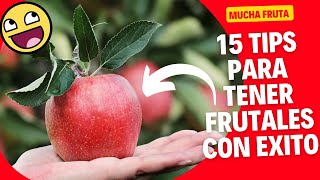 15 Consejos Para Tener Exito Con Tus Arboles Frutales/ Respondiendo A Todas Tus Dudas