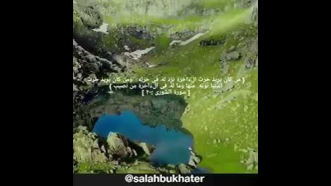 سورة الشورى آية ٢٠