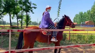 Morning Horse Riding: The Best Exercise for Women Eps 01