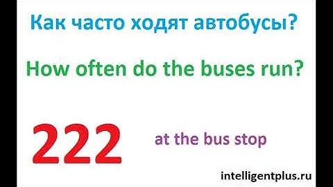 Russian Phrases and words / at the bus stop (222) / Russian language