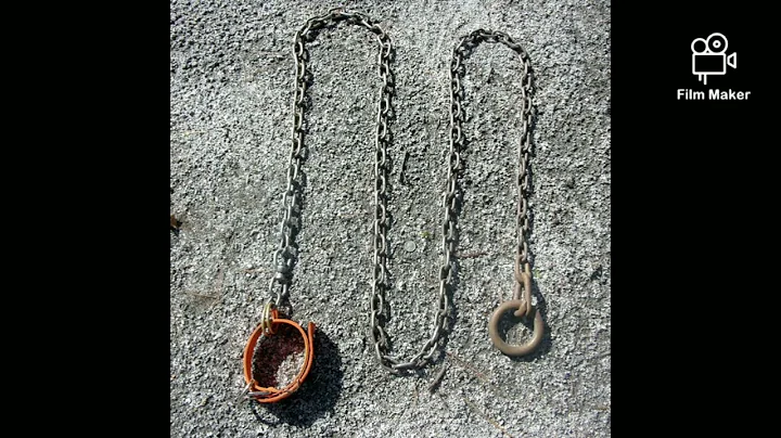 Starting From Scratch "Kennel Accident's" Beware of Dog #apbtlove#