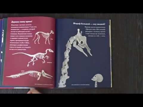 Обзор книги "Кости и скелеты"