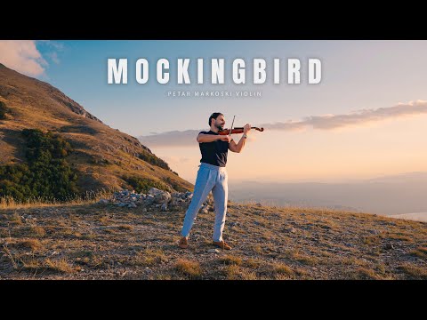 Eminem Mockingbird Violin Cover By Petar Markoski
