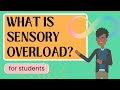 Understanding Neurodiversity and Coping Strategies
