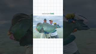 This Fish Poops Sand 😳 #science #facts #ocean #parrotfish #shorts
