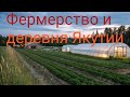 Жизнь в самом холодном регионе России | Фермерство и деревенская жизнь в Якутии