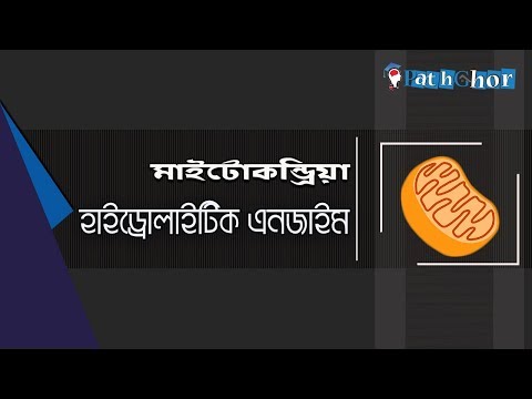 ভিডিও: মাইটোকন্ড্রিয়া কীভাবে এটিপি কুইজলেট তৈরি করে?