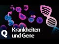 Epigenetik: Warum eineiige Zwillinge für die Krebsforschung wichtig sind | Quarks
