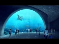 The Aquarium - Architectural Thesis