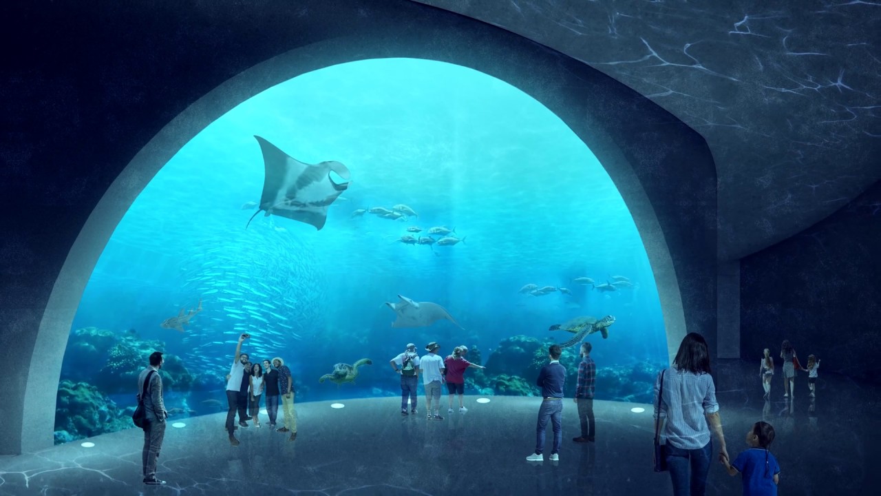 architecture aquarium thesis