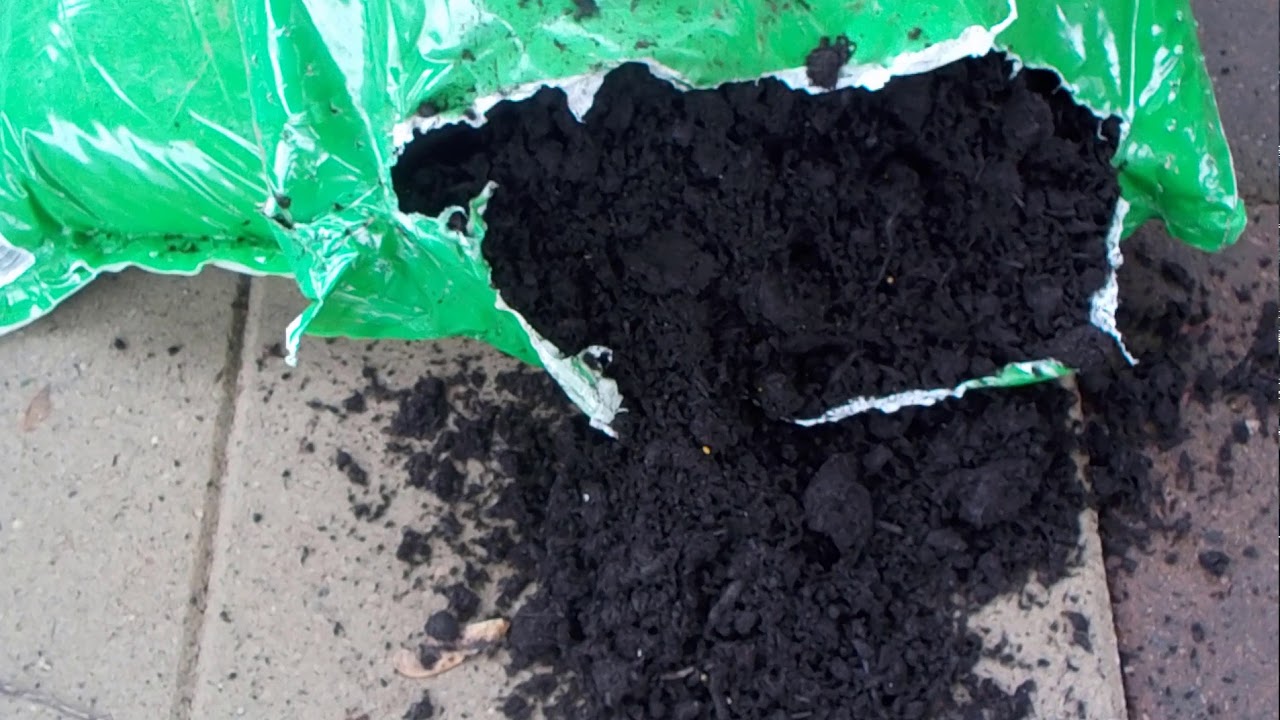 Miracle Grow Garden Soil, Scotts Commercial Grass Seed, How Fast will