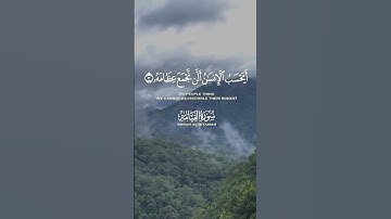 سورة القيامة/عبدالباسط عبدالصمد#قرآن #القرآن_الكريم #عبدالباسط_عبدالصمد #تلاوات #تلاوة #قرآن #قرآن
