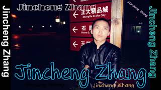 Jincheng Zhang - Dull La ( Music Audio)