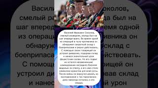 Обнаружил секретный склад боеприпасов #вов #история #армия #интересныефакты