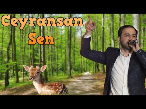 CEYRANSAN SEN - Perviz Bulbule