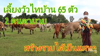 การบริหารจัดการสุดยอดมีห้องนอนมีห้องอาหารให้วัว เลี้ยงวัวไทบ้าน65ตัว 2ตายาย ขายได้เป็นแสนๆ วัวไทบ้าน