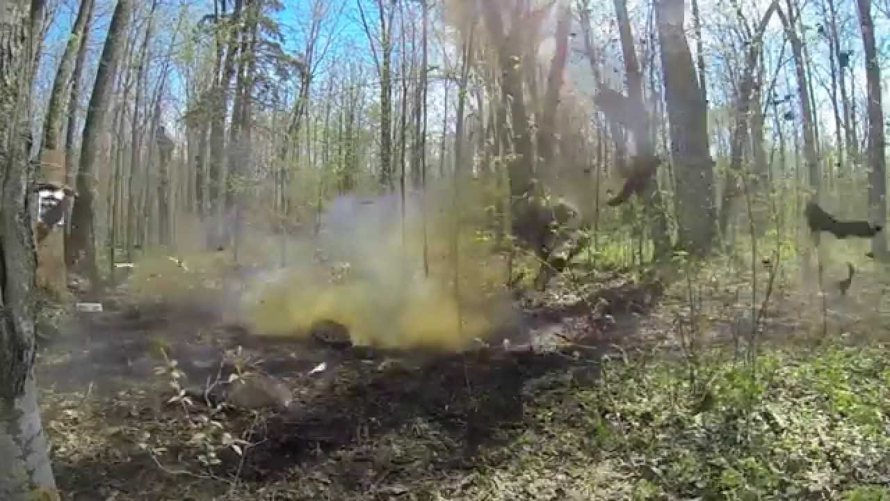 looney land shooting