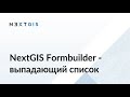 NextGIS Formbuilder. Элемент выпадающий список.