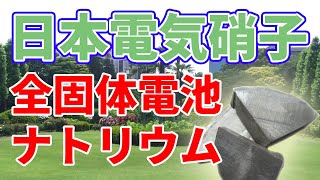 日本電気硝子が発表した全固体電池について【2年ぶり】