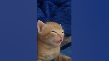 The missile is very tired he is eepy