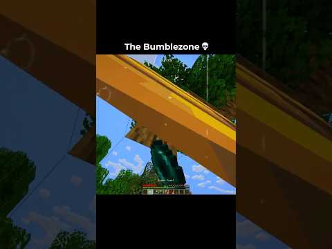 Minecraft Bumblezone Moment