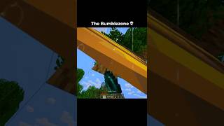 Minecraft Bumblezone Moment