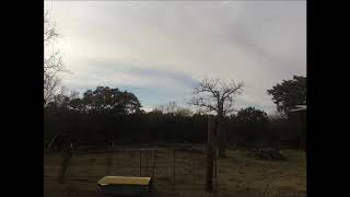 Farm tree clearing slideshow 2