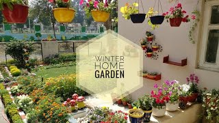 Winter Home Garden | 2017