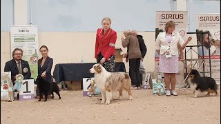 видео: 25.10.2025, СПб. Клуб  картинка: 25.10.2025, СПб. Клуб