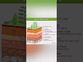 soil profile model