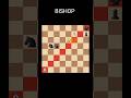 The Most Dengerous Bishop 🦾 Sacrifice Mate -26 #shorts #chess #bishop