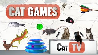 Cat Games | Ultimate Cat TV Compilation Vol 1 |