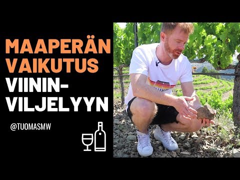 Video: Voiko maaperän ylitiivistyä?