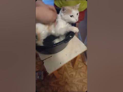 билок моя мама купает его - YouTube