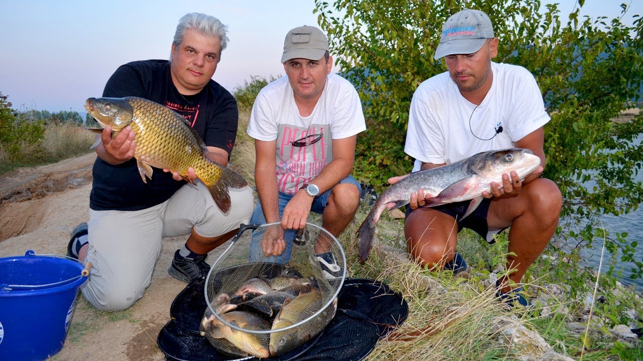 За едри риби на Тополово - част 2 / Carp and carassius pole & match fishing - part 2