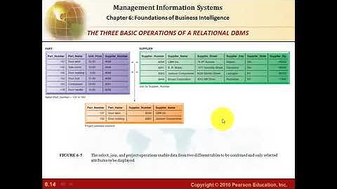 Foundations of Business Intelligence: Databases and Information Management  Chapter 6- part2