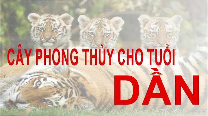 Tuổi bính dần hợp cây phong thủy nào năm 2024