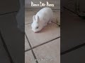 🍉 Che Gusto! Bianca Mangia l'Anguria e Ci Fa Morire dal Ridere 😂