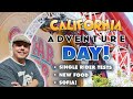 California adventure day  single rider tests at incredicoaster and radiator springs  sofi