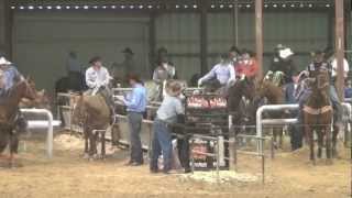 Speeds Runs at Wildfire Open Roping with Jade Corkill and Kolin VonAhn