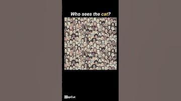 IQ test №55 for visual-spatial perception / #find #iqtest #opticalillusion #quiz #iq #puzzle