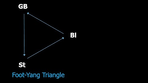 6-element acupuncture: Foot yang triangle
