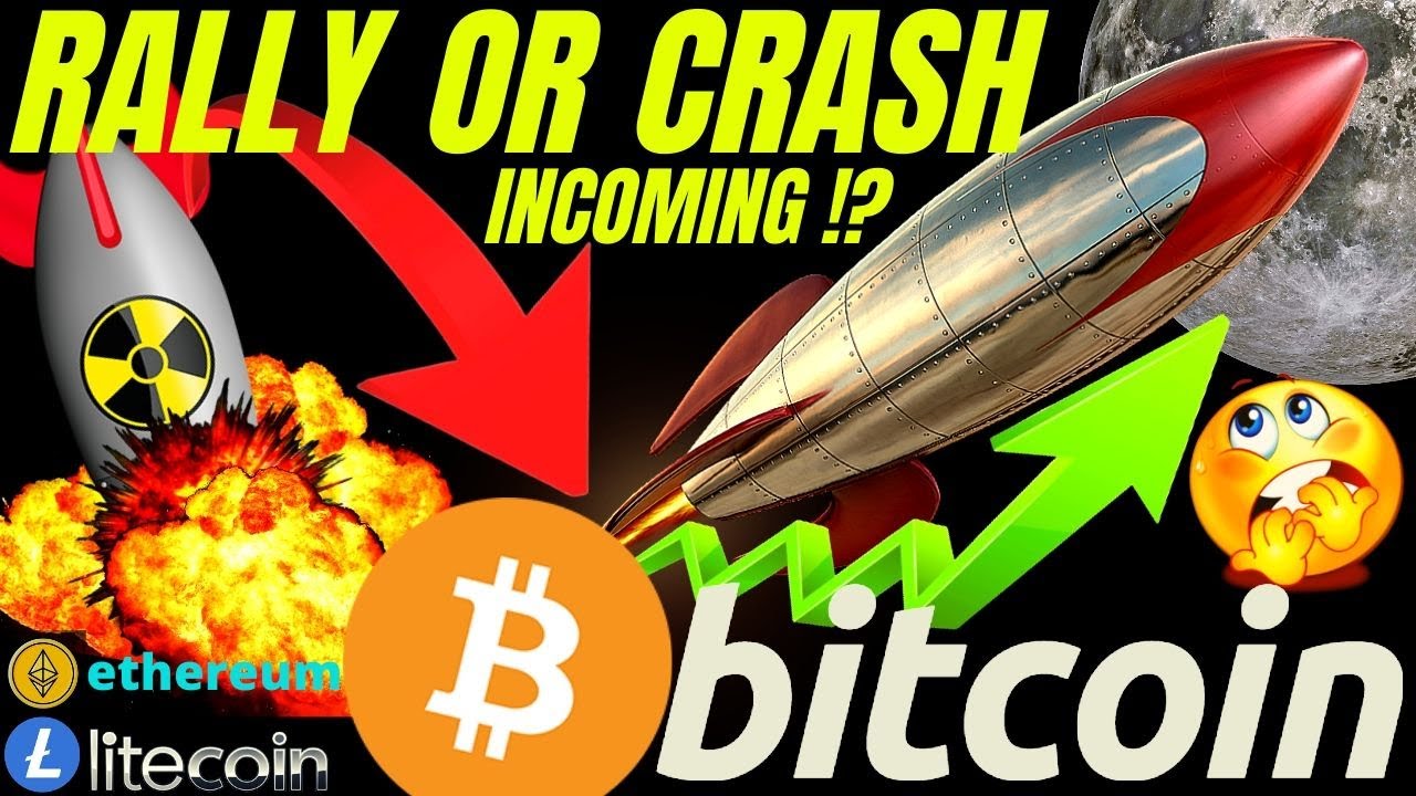 bitcoin litecoin whats next