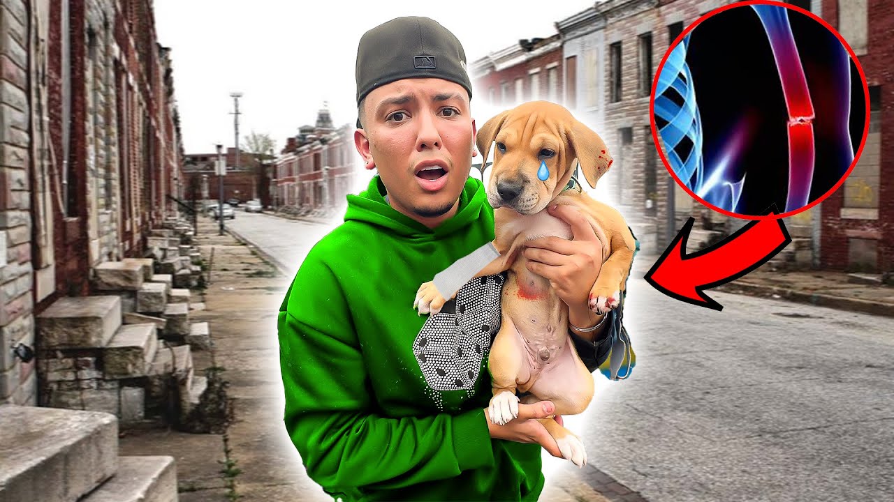 I SAVED A LOST PUPPY!!